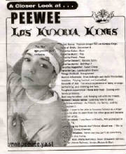 peeweeinfo1255B1255D.jpg